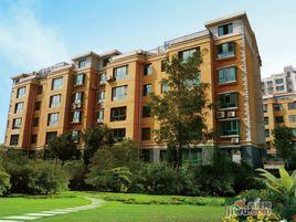 新泰花苑 新泰花苑