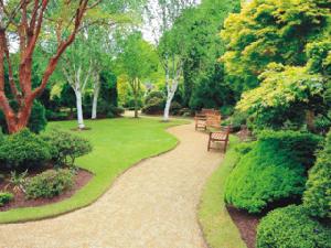 大信時尚家園 大信時尚家園