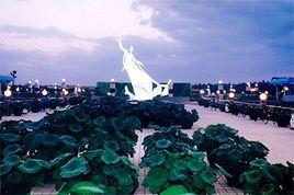 佛山荷花世界 佛山荷花世界