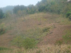 岩曲場一村 岩曲場一村