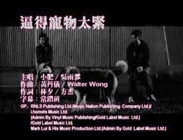 逼得寵物太緊 逼得寵物太緊