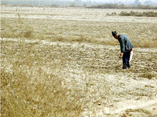 平原風沙區現狀