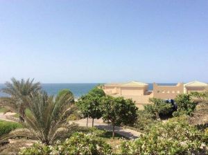 薩巴尼亞島 薩巴尼亞島