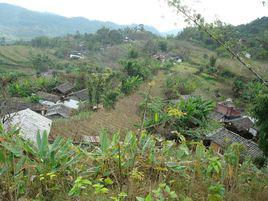 躍進村[雲南普洱景東彝族自治縣大街鄉下轄村]