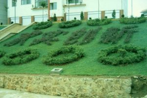 雲南省富源縣第一中學