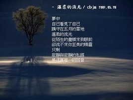 美麗的心情[宋祖英歌曲]