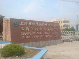 上海絲綢集團股份有限公司 上海絲綢集團股份有限公司