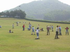 光明滑草場 光明滑草場