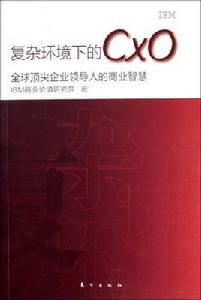 複雜環境下的CXO:全球頂尖企業領導人的商業智慧 複雜環境下的CXO:全球頂尖企業領導人的商業智慧