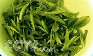 天台華頂雲霧茶 天台華頂雲霧茶