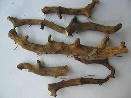 穿龍薯蕷[中藥]