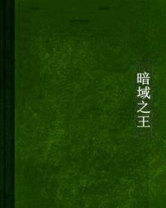 暗域之王 暗域之王