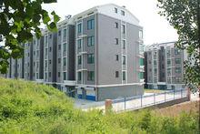 王村鎮[山東省淄博市王村鎮]