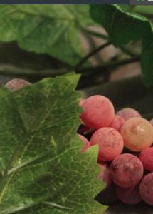 南寧美食網 南寧美食網