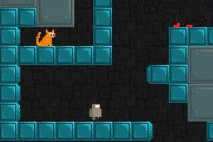 機器人尋找貓貓 機器人尋找貓貓