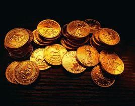 其他貨幣資金 其他貨幣資金