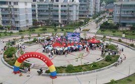 文化社區[遼寧省綏中縣綏中鎮社區]