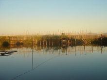 水產品養殖塘 Ⅱ