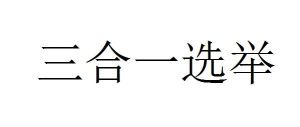 三合一選舉 三合一選舉
