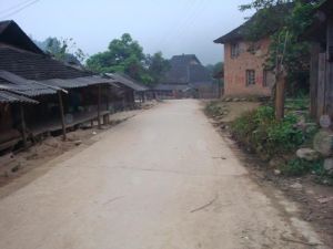 曼囡新寨自然村 曼囡新寨自然村