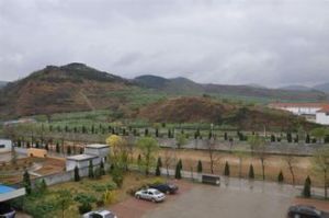 杏家莊村 杏家莊村