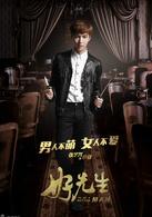 好先生[2016年孫紅雷、江疏影主演都市情感劇]