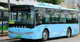 廈門491路 廈門491路