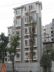 領域二期 領域二期