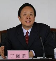 丁曉群[江西省衛生計生委黨組書記、主任]