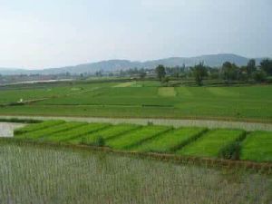 羊美自然村 羊美自然村