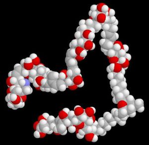 岩沙海葵毒素 岩沙海葵毒素