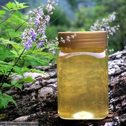 荊條蜂蜜 荊條蜂蜜