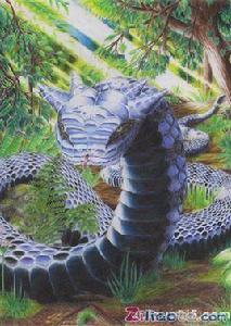 巴蛇食象 巴蛇食象