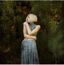 Running With The Wolves Running With The Wolves