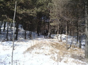 五虎山森林公園