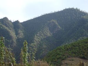 白蕎地自然村 白蕎地自然村