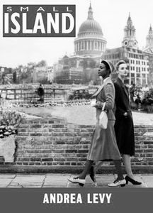 英國惠特布萊德圖書大獎2005年獲得大獎作品《小島》    48歲的李維定居於倫敦，月初贏得惠特布萊德小說獎後，她的這本書已被看成是這一獎金高達5.8萬英鎊的英國年度圖書大獎的最大熱門。這一圖書大獎是由包括影星休&middot;格蘭特在內的評審會從月初公布的小說、詩歌、傳記、童書等分類獎項得主中評出的。    評審會主席特雷沃&middot;麥克唐納評價《小島》是一部觀察細緻的小說，幫助讀者了解了一段很多人知之不詳的英國歷史。他稱：“小說再現了上世紀40年代來自西印度群島的移民的生活，他們為反抗希特勒對自己祖國的暴政而來到英國，繼續抗爭。小說的故事感人，作家對材料的處理十分恰當。”