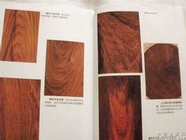 巴里黃檀 巴里黃檀