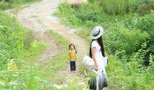 百科周觀影指南第31期