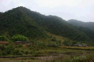 空樹河自然村 空樹河自然村