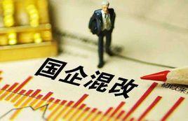 國企混合所有制改革 國企混合所有制改革