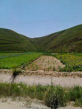 復興鄉[甘肅省白銀市平川區復興鄉]