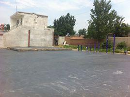 張堂村[山東省臨清市青年辦事處下轄村]