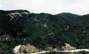 大黑山自然保護區