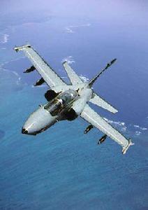 AMX型飛機 AMX型飛機