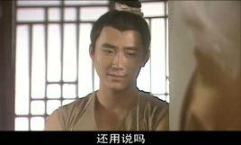 楊開[電視劇少年包青天裡的角色]