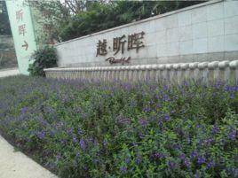 昕暉集團 昕暉集團