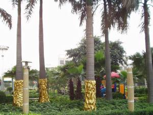 綿陽中央廣場 綿陽中央廣場