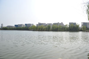 武漢交通大學 武漢交通大學