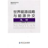 世界能源戰略與能源外交總論